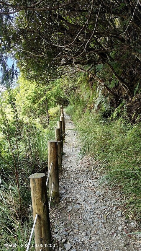 2024太平山國家森林遊樂區|翠峰湖,臺灣最大高山湖泊|翠峰