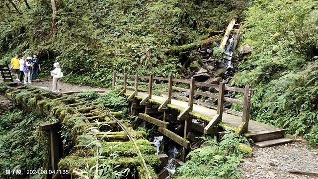 2024太平山國家森林遊樂區(上)｜鳩之澤溫泉｜見晴懷古步道