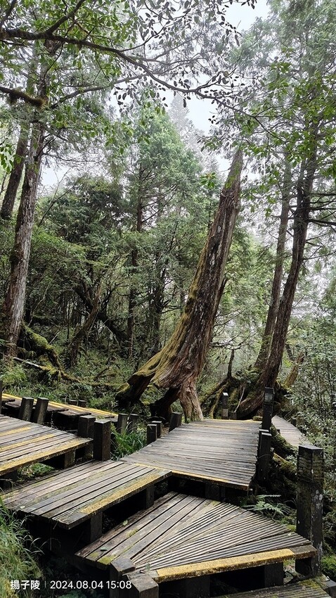 2024太平山國家森林遊樂區(中)|太平山莊|原太平山俱樂部