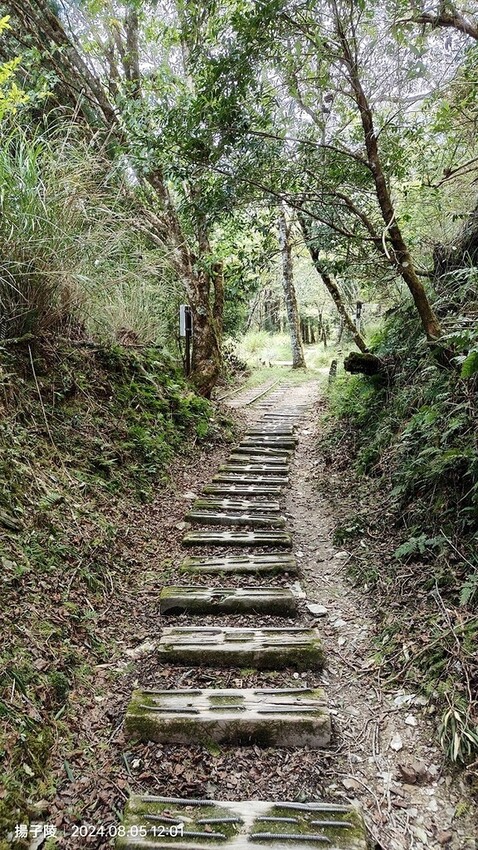 2024太平山國家森林遊樂區|翠峰湖,臺灣最大高山湖泊|翠峰