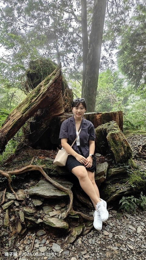 2024太平山國家森林遊樂區(上)｜鳩之澤溫泉｜見晴懷古步道