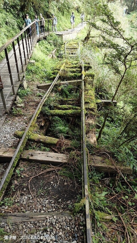 2024太平山國家森林遊樂區(上)｜鳩之澤溫泉｜見晴懷古步道