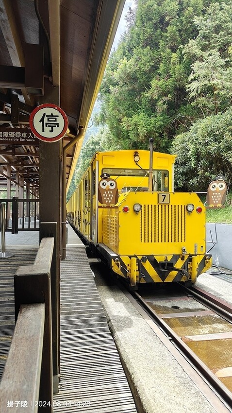 2024太平山國家森林遊樂區(中)|太平山莊|原太平山俱樂部