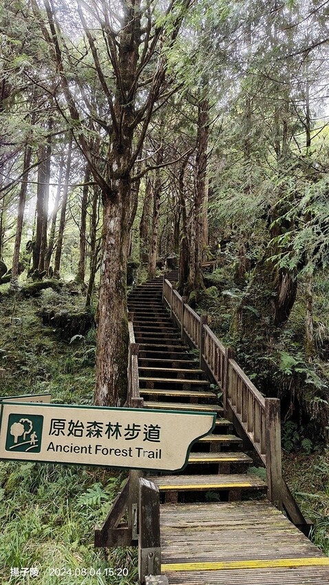 2024太平山國家森林遊樂區(中)|太平山莊|原太平山俱樂部