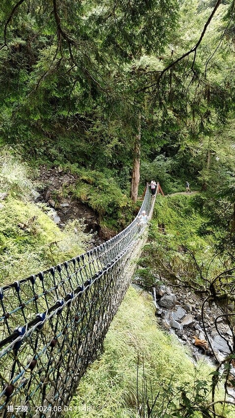 2024太平山國家森林遊樂區(上)|鳩之澤溫泉|見晴懷古步道