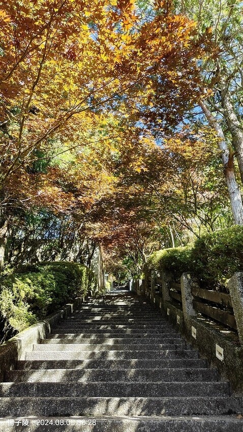 2024太平山國家森林遊樂區|翠峰湖,臺灣最大高山湖泊|翠峰