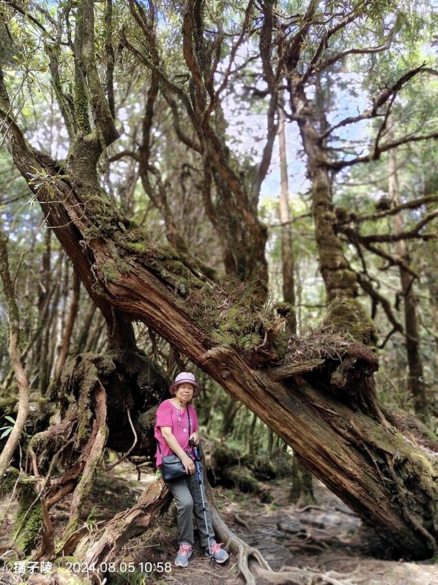 2024太平山國家森林遊樂區|翠峰湖,臺灣最大高山湖泊|翠峰