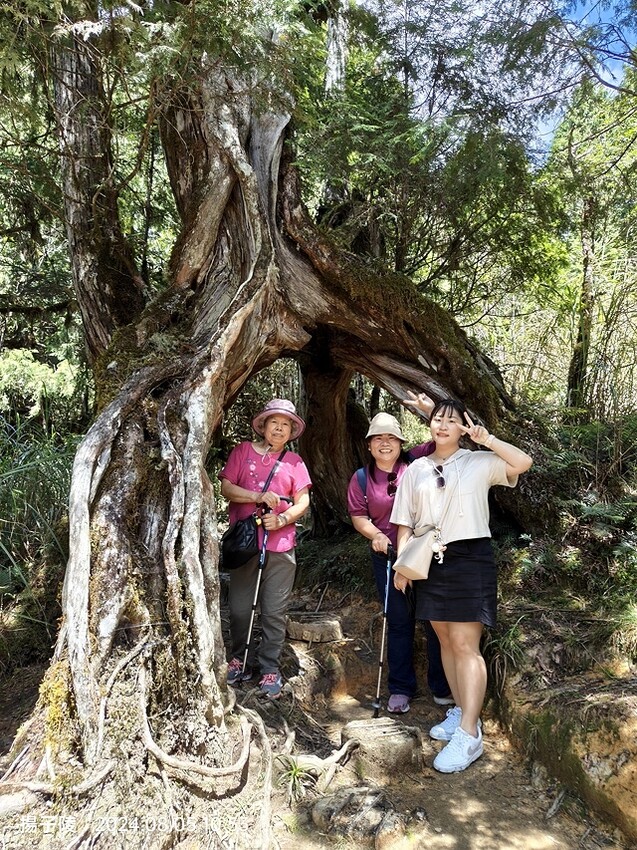 2024太平山國家森林遊樂區|翠峰湖,臺灣最大高山湖泊|翠峰