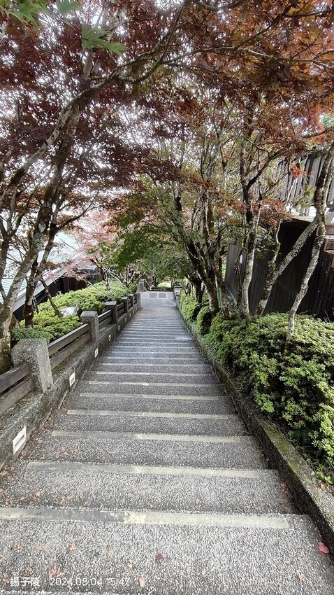 2024太平山國家森林遊樂區(中)|太平山莊|原太平山俱樂部