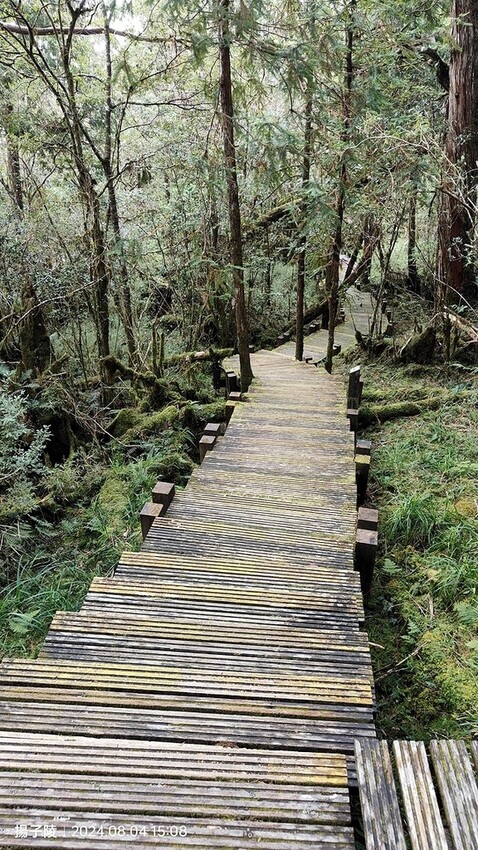 2024太平山國家森林遊樂區(中)|太平山莊|原太平山俱樂部