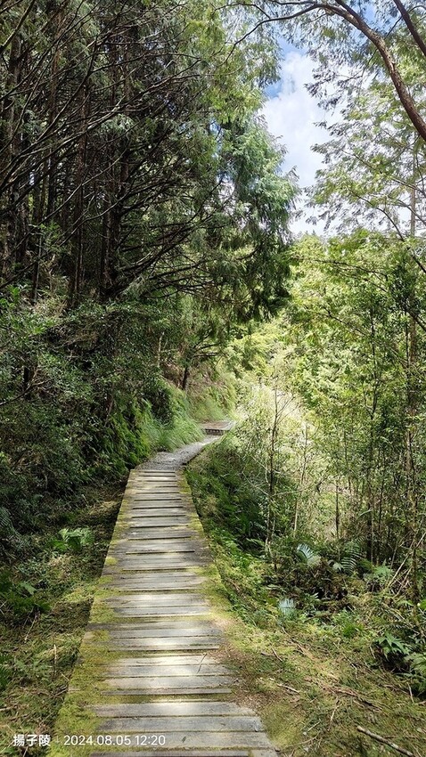 2024太平山國家森林遊樂區|翠峰湖,臺灣最大高山湖泊|翠峰