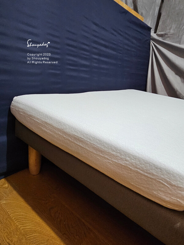 【睡眠寢具】合隆羽藏 Health Life 台灣百年寢具品 【睡眠寢具】Cosys 慢半拍 小島記憶薄墊 可水洗 外宿獨