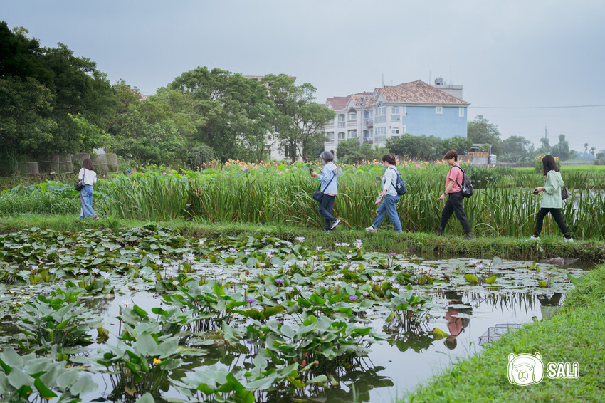 桃園大溪一日遊｜勇闖大溪客庄神農保甲路尋詔安，認識神農信仰，體驗香火包、藍晒顯影、品味在地風味餐 - 莎笠，小日子