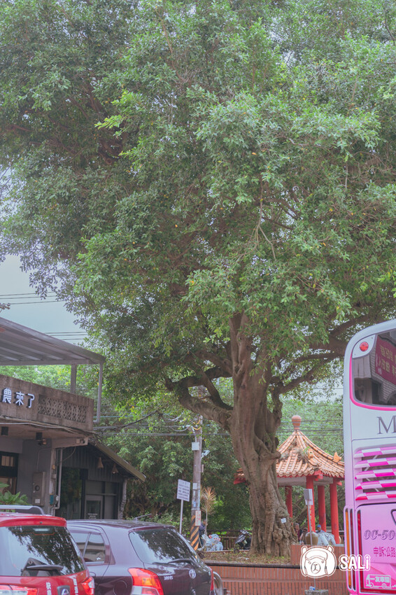 桃園大溪一日遊｜勇闖大溪客庄神農保甲路尋詔安，認識神農信仰，體驗香火包、藍晒顯影、品味在地風味餐 - 莎笠，小日子
