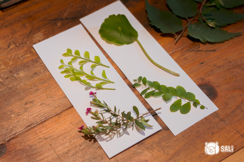 桃園大溪一日遊｜勇闖大溪客庄神農保甲路尋詔安，認識神農信仰，體驗香火包、藍晒顯影、品味在地風味餐 - 莎笠，小日子