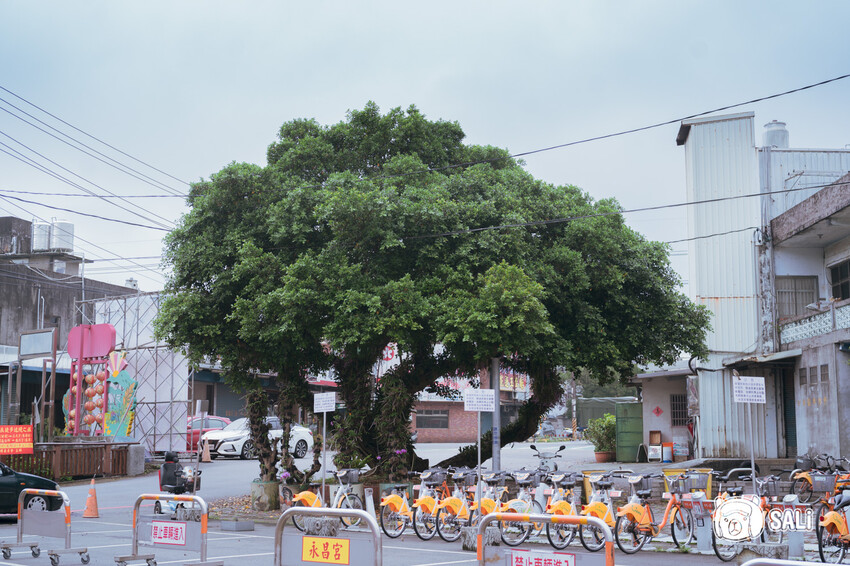 桃園大溪一日遊｜勇闖大溪客庄神農保甲路尋詔安，認識神農信仰，體驗香火包、藍晒顯影、品味在地風味餐 - 莎笠，小日子