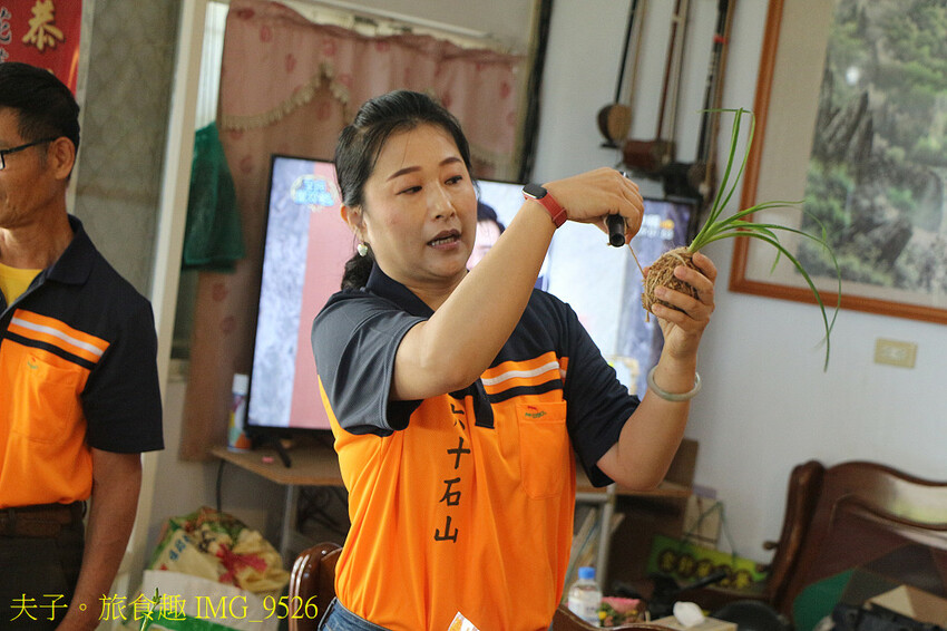 玩不一樣的六十石山金針花季