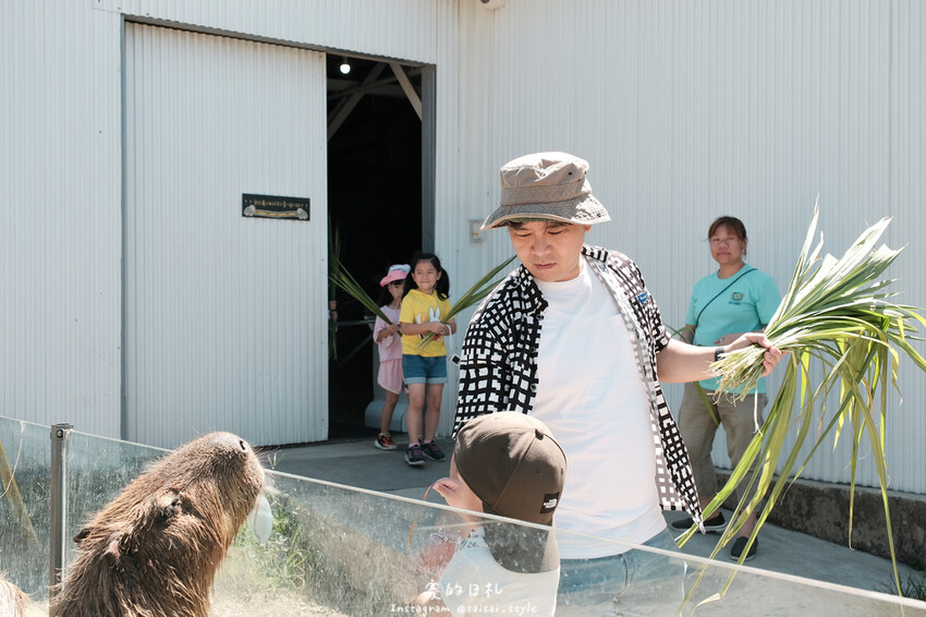 新竹市香山區MiFresa 財財的手作基地遊廢物媽媽農場|新竹生活資訊|穿著新衣到農場玩!超簡單穿穿搭,一套上就有不同層