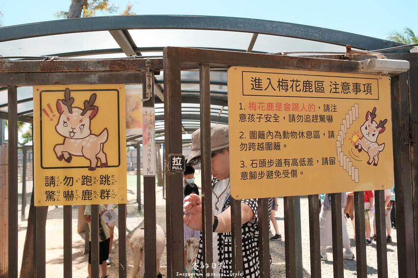 新竹市香山區MiFresa 財財的手作基地遊廢物媽媽農場|新竹生活資訊|穿著新衣到農場玩!超簡單穿穿搭,一套上就有不同層