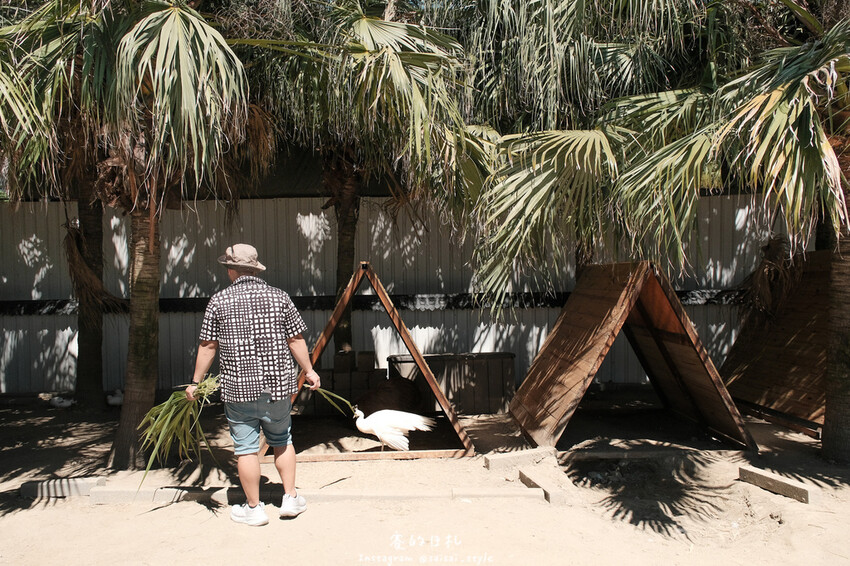 新竹市香山區MiFresa 財財的手作基地遊廢物媽媽農場|新竹生活資訊|穿著新衣到農場玩!超簡單穿穿搭,一套上就有不同層