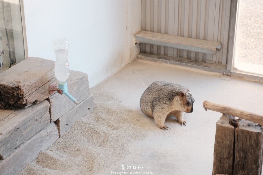 新竹市香山區MiFresa 財財的手作基地遊廢物媽媽農場|新竹生活資訊|穿著新衣到農場玩!超簡單穿穿搭,一套上就有不同層