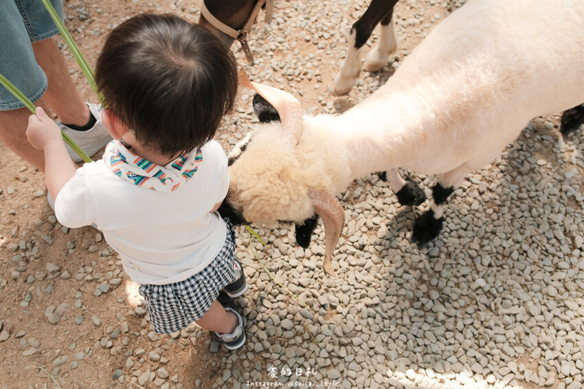 新竹市香山區MiFresa 財財的手作基地遊廢物媽媽農場|新竹生活資訊|穿著新衣到農場玩!超簡單穿穿搭,一套上就有不同層