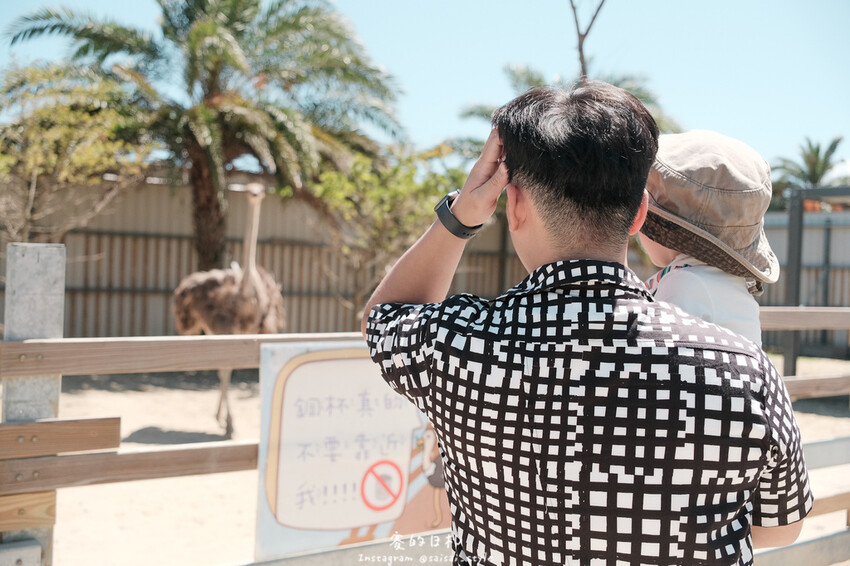 新竹市香山區MiFresa 財財的手作基地遊廢物媽媽農場|新竹生活資訊|穿著新衣到農場玩!超簡單穿穿搭,一套上就有不同層