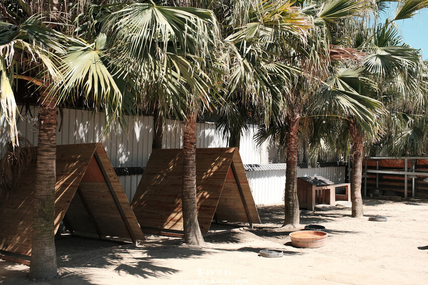 新竹市香山區MiFresa 財財的手作基地遊廢物媽媽農場|新竹生活資訊|穿著新衣到農場玩!超簡單穿穿搭,一套上就有不同層