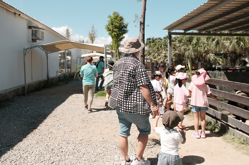 新竹市香山區MiFresa 財財的手作基地遊廢物媽媽農場|新竹生活資訊|穿著新衣到農場玩!超簡單穿穿搭,一套上就有不同層