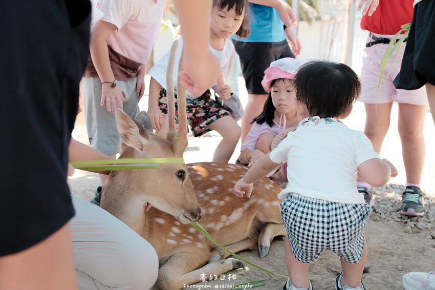 新竹市香山區MiFresa 財財的手作基地遊廢物媽媽農場|新竹生活資訊|穿著新衣到農場玩!超簡單穿穿搭,一套上就有不同層