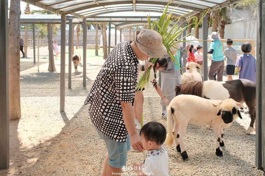 新竹市香山區MiFresa 財財的手作基地遊廢物媽媽農場|新竹生活資訊|穿著新衣到農場玩!超簡單穿穿搭,一套上就有不同層