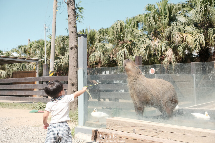 新竹市香山區MiFresa 財財的手作基地遊廢物媽媽農場|新竹生活資訊|穿著新衣到農場玩!超簡單穿穿搭,一套上就有不同層