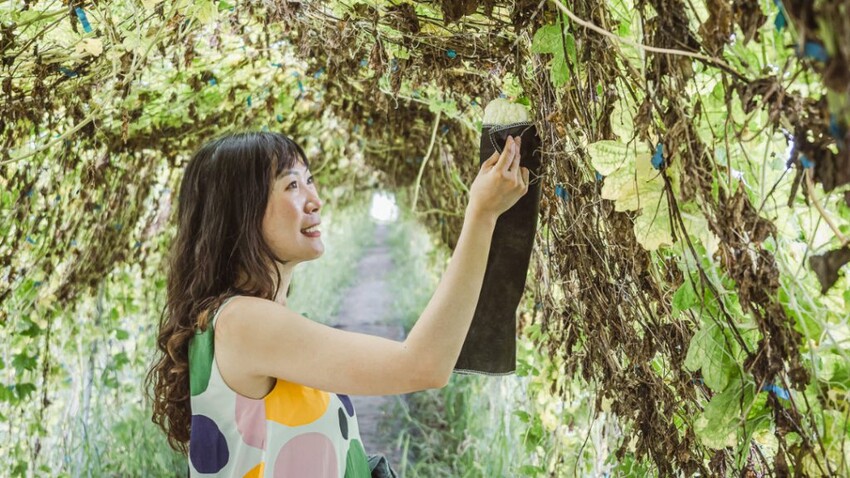 嘉義布袋好美船屋：天空之鏡、迷漾森林、摸蛤蜊、鹽工便當一次滿足！