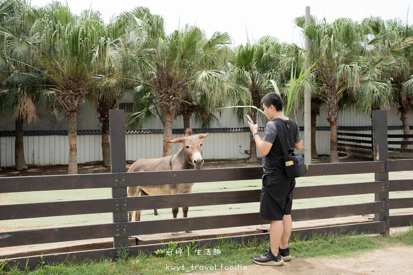 穿上MiFresa財財的手作基地，到廢物媽媽育兒農場走跳去，