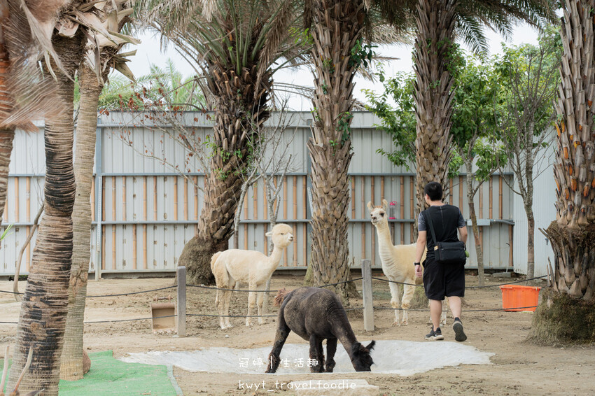 穿上MiFresa財財的手作基地，到廢物媽媽育兒農場走跳去，