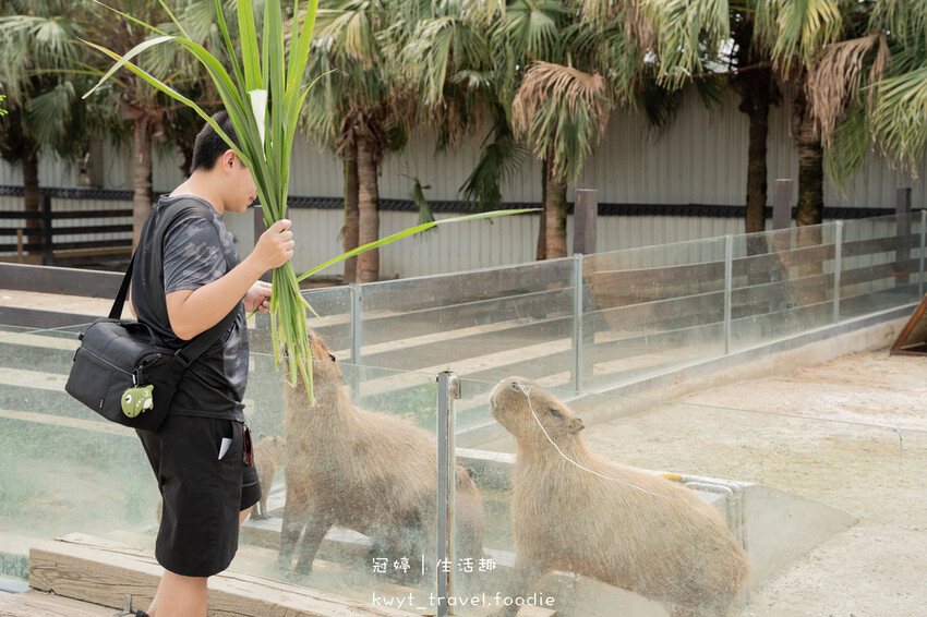 穿上MiFresa財財的手作基地，到廢物媽媽育兒農場走跳去，