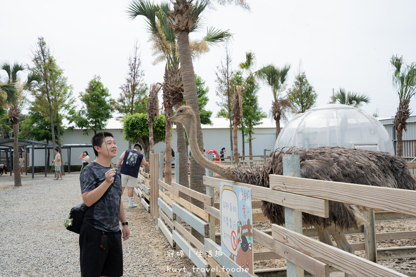 穿上MiFresa財財的手作基地，到廢物媽媽育兒農場走跳去，