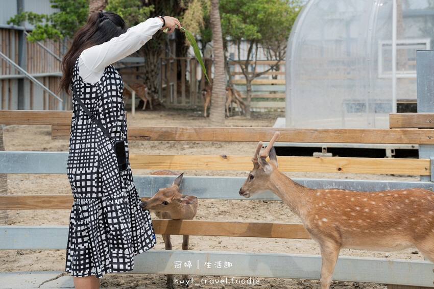 穿上MiFresa財財的手作基地，到廢物媽媽育兒農場走跳去，