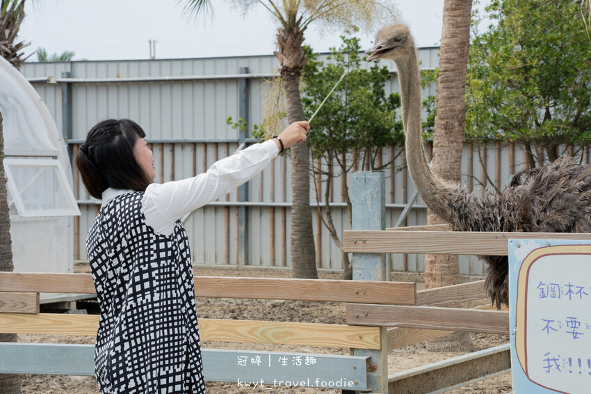 穿上MiFresa財財的手作基地，到廢物媽媽育兒農場走跳去，