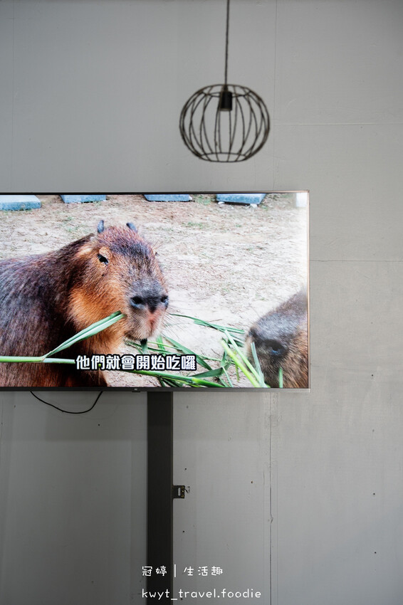 穿上MiFresa財財的手作基地，到廢物媽媽育兒農場走跳去，