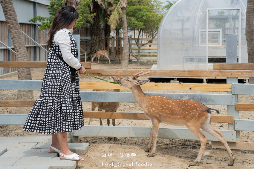 穿上MiFresa財財的手作基地，到廢物媽媽育兒農場走跳去，