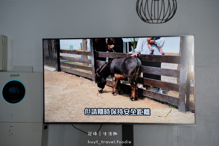 穿上MiFresa財財的手作基地，到廢物媽媽育兒農場走跳去，