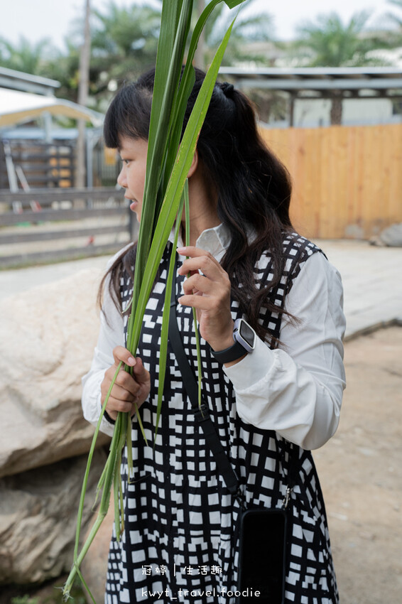 穿上MiFresa財財的手作基地，到廢物媽媽育兒農場走跳去，