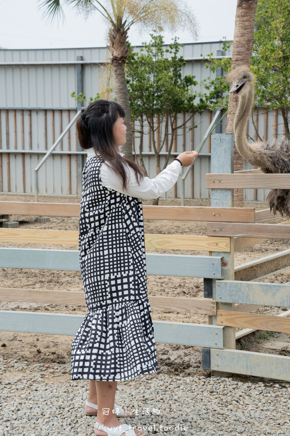 穿上MiFresa財財的手作基地，到廢物媽媽育兒農場走跳去，