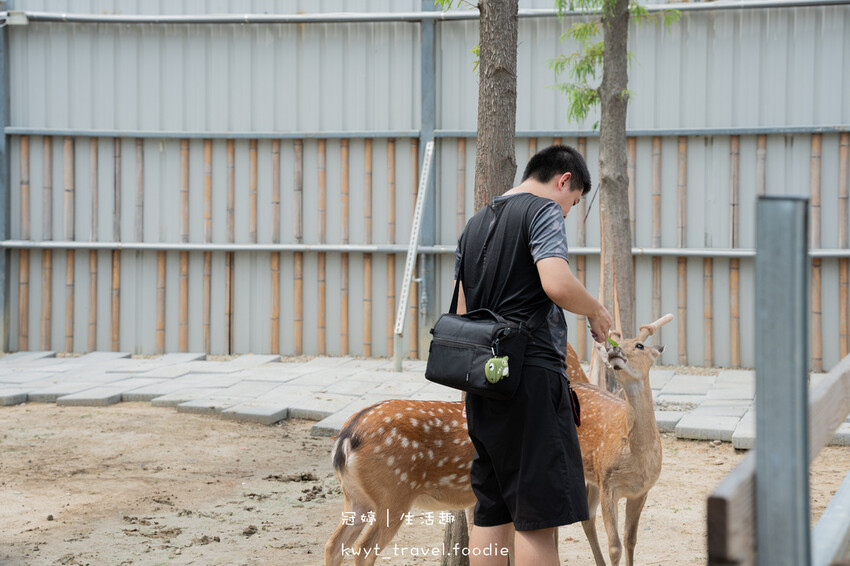 穿上MiFresa財財的手作基地，到廢物媽媽育兒農場走跳去，