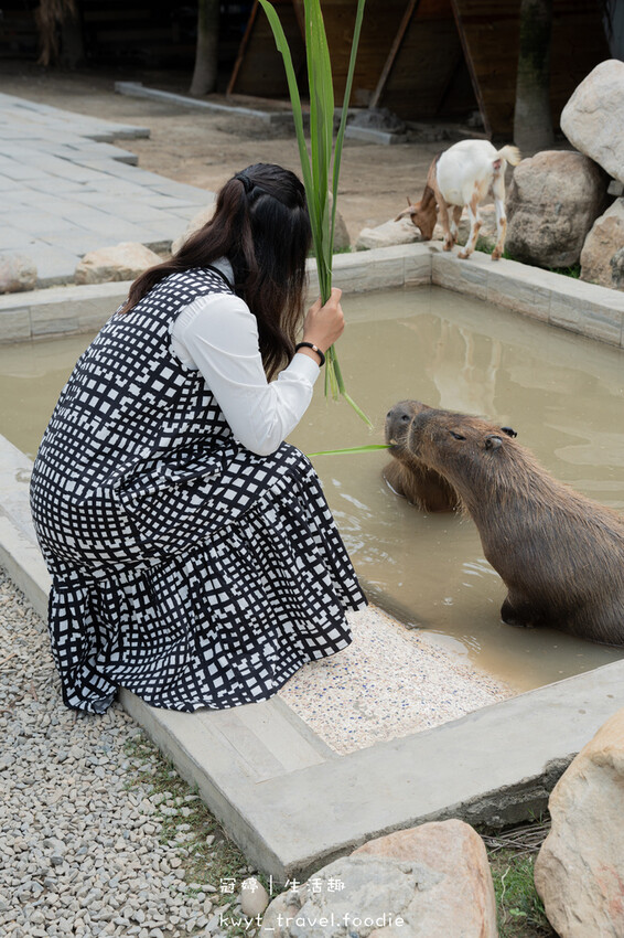 穿上MiFresa財財的手作基地，到廢物媽媽育兒農場走跳去，