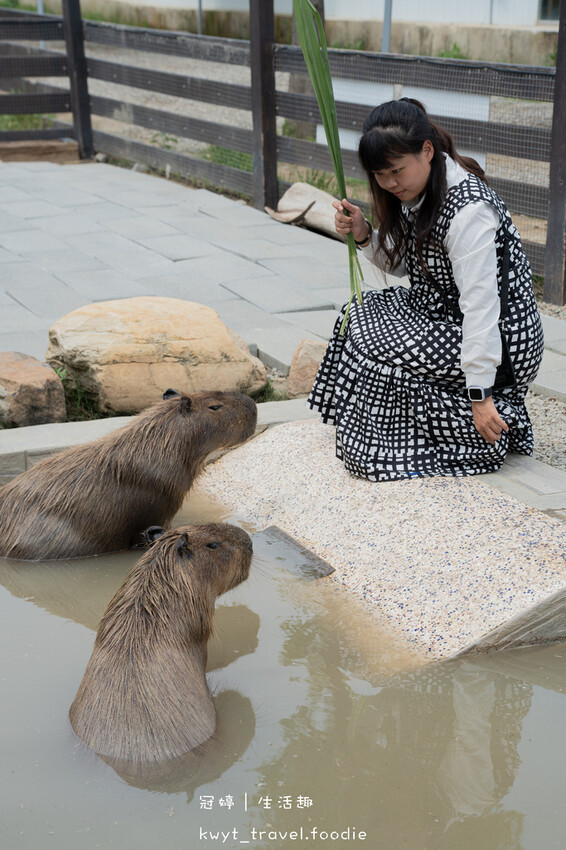 穿上MiFresa財財的手作基地，到廢物媽媽育兒農場走跳去，
