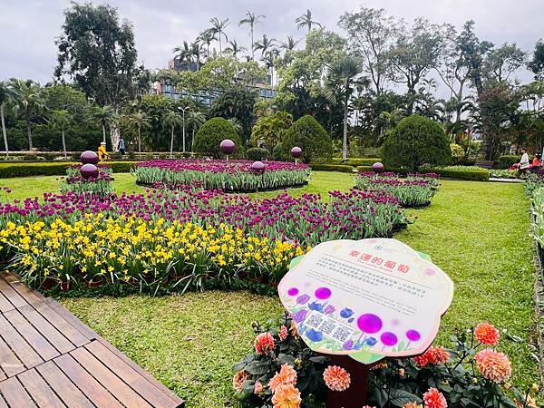 2024年士林官邸公園鬱金香花季:相鬱祈福。鬱金香齊放