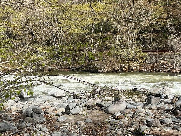 星野奧入瀨溫泉渡假飯店（附交通方式）。在自然生態的溪流邊渡過