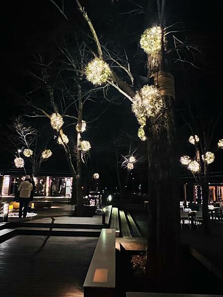 2023年日本長野縣輕井澤星野渡假飯店浪漫聖誕活動:杉樹廣場